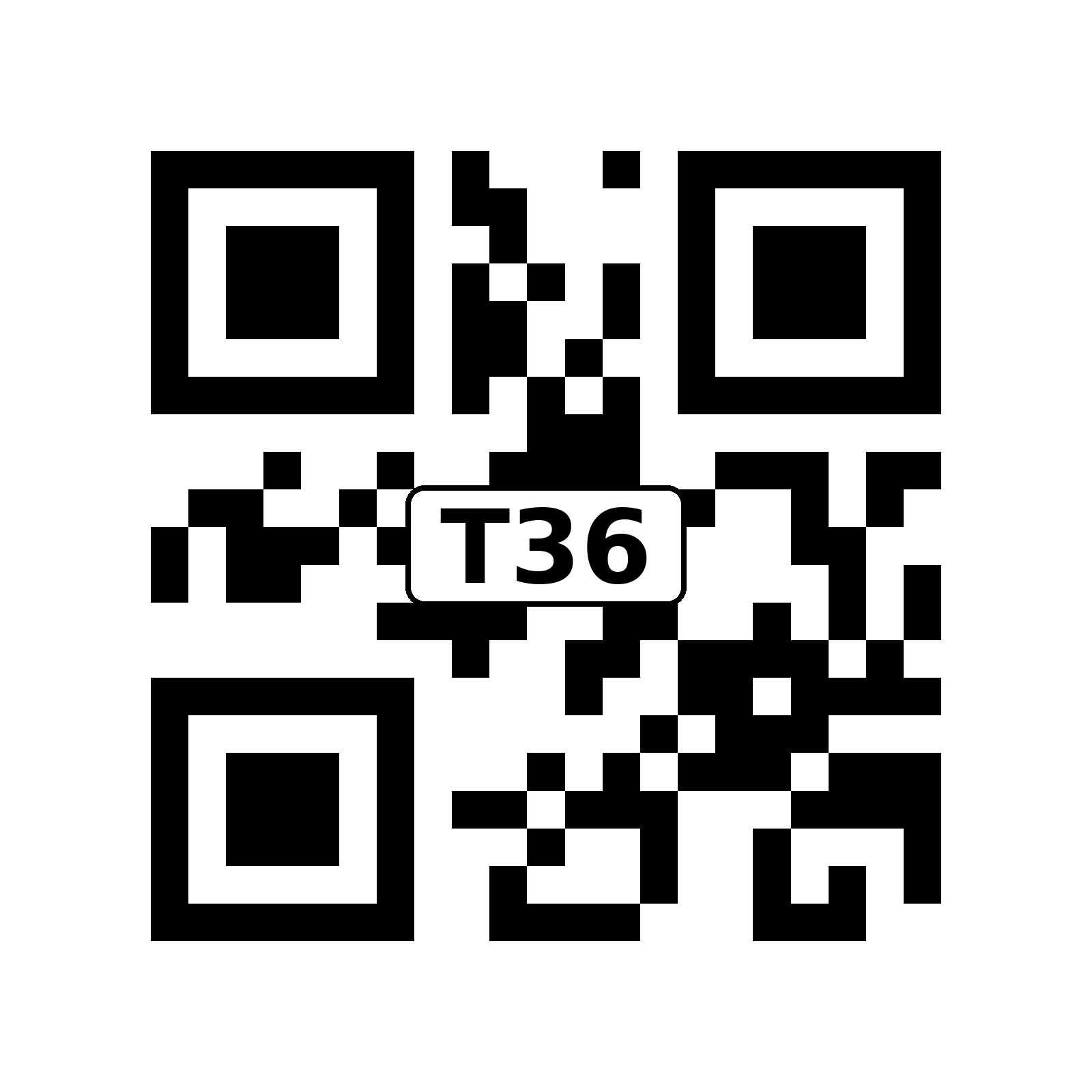 T36 QR code